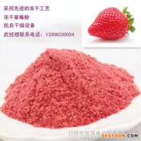 水果粉凍干設備