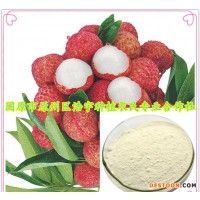 荔枝濃縮汁粉全溶于水 批發(fā)荔枝果粉飲品原料 荔枝速溶粉批發(fā)價