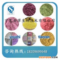 橙子粉廠家直銷(xiāo)  廠家供應(yīng)香橙濃縮汁粉150目  橙子原漿批發(fā)價(jià)格