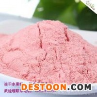 水果粉凍干代加工  真空冷凍干燥機