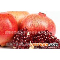 紅石榴濃縮液出廠價 供應紅石榴原漿 鮮汁 紅石榴提取液經(jīng)銷商