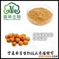 枇杷提取物生產廠家 枇杷果粉 濃縮汁粉 枇杷核粉 濃縮液廠家現(xiàn)貨