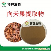 所羅門向天果提取物10:1 優(yōu)質(zhì)向天果粉 向天果的價格