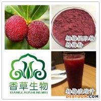 楊梅提取物生產(chǎn)廠家 供應(yīng)楊梅果粉 濃縮汁粉 楊梅原漿現(xiàn)貨