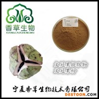 文冠果提取物20:1 廠家供應文冠果粉 文冠果濃縮液現(xiàn)貨