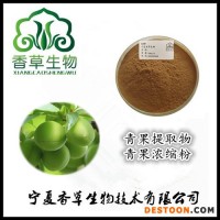 青果提取物產(chǎn)地 廠家批發(fā)青果濃縮汁粉 新鮮橄欖果原漿現(xiàn)貨