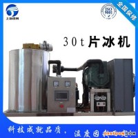 河北廊坊制冰機廠,顆粒冰機,食用制冰機,片冰機,管冰機,雪花制冰機
