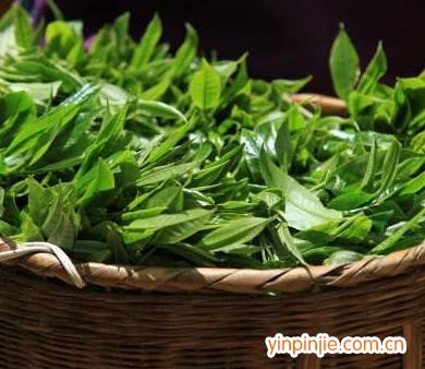 武夷山市順青生態(tài)茶業(yè)有限公司