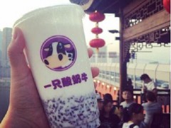 一只酸奶牛為加盟商打造致富平臺(tái)！