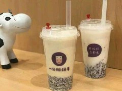 無錫一只酸奶牛加盟條件、加盟支持了解一下