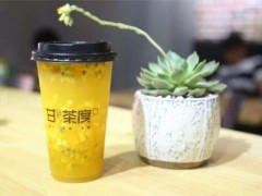 甘茶度加盟怎么樣？茗茶原沏佼佼者！