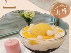 roco若可甜品加盟真的賺錢嗎？加盟roco若可甜品多久回本？【表】