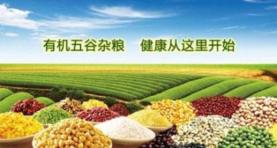 天然食品神，返撲又歸真——2016上海有機(jī)食品展