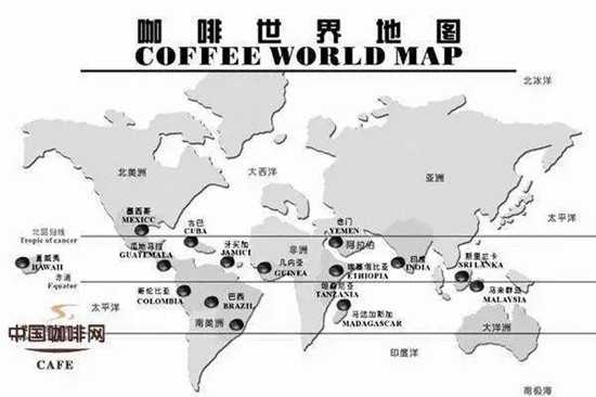咖啡市場(chǎng)供需情況如何？影響咖啡價(jià)格的因素有哪些？