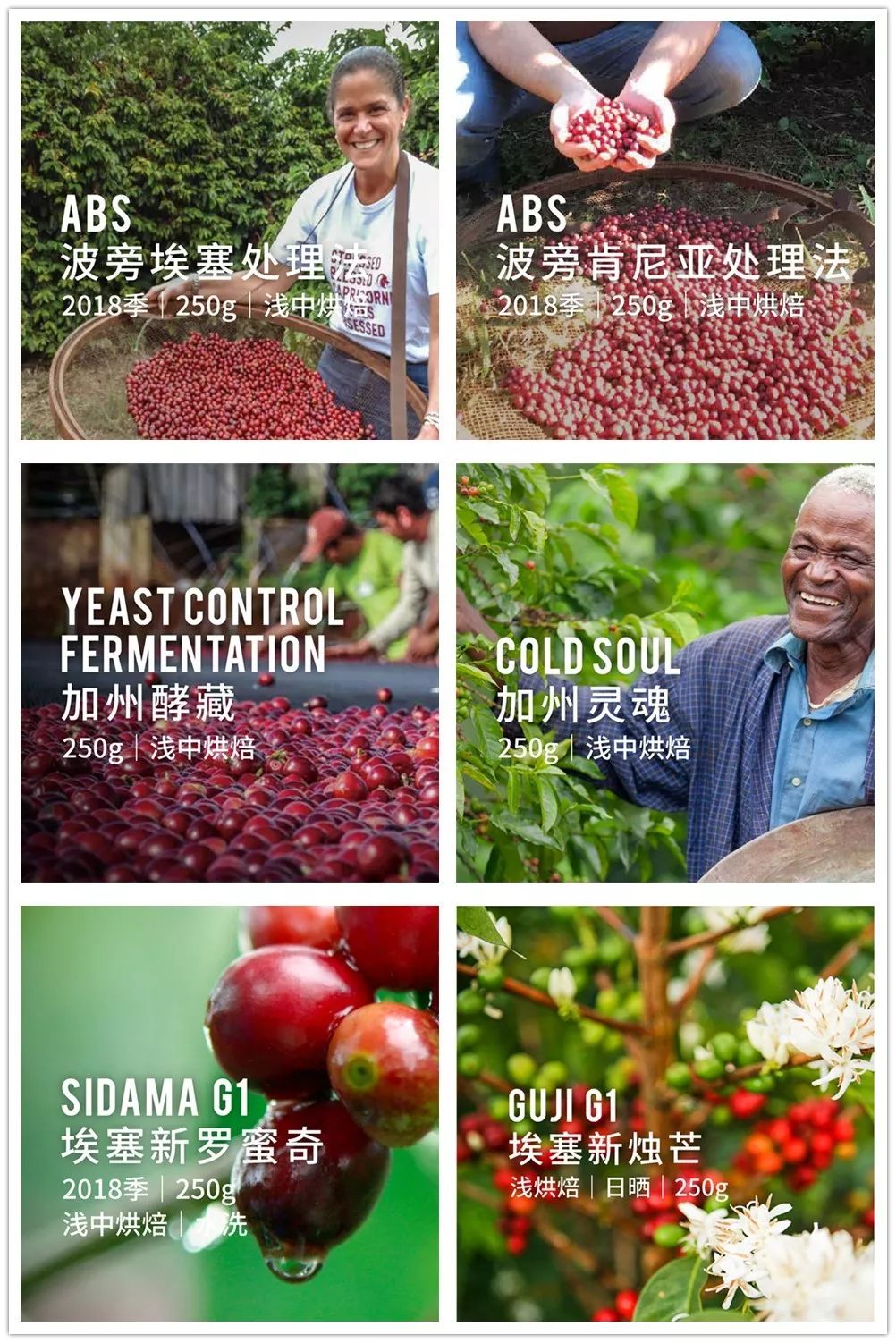 https://image.ipaiban.com/upload-ueditor-image-20191023-1571801495676043241.jpg