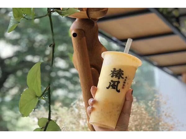 椿風(fēng)一般利潤有多少，丨優(yōu)勢多多
