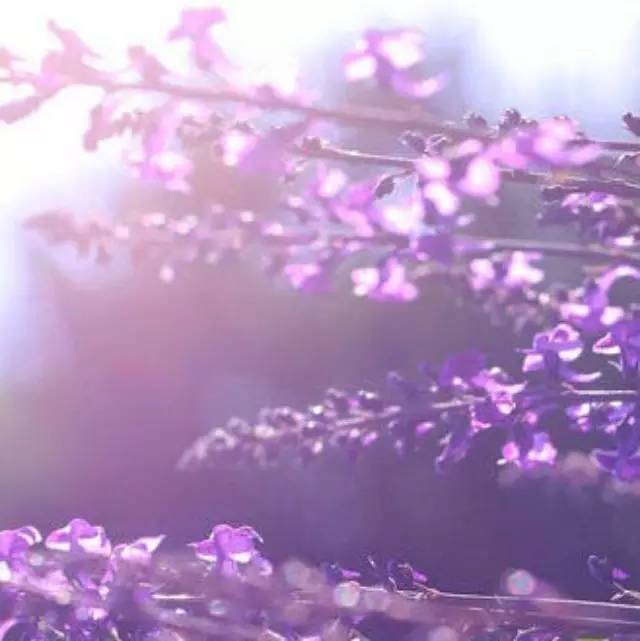 【潮飲】 個平凡元素匯聚，成就精華之作
