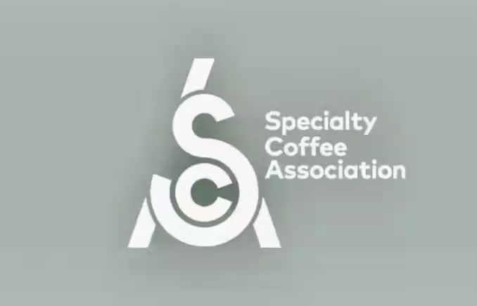 新精品咖啡協(xié)會SCA誕生，你會再追“考證潮”嗎？