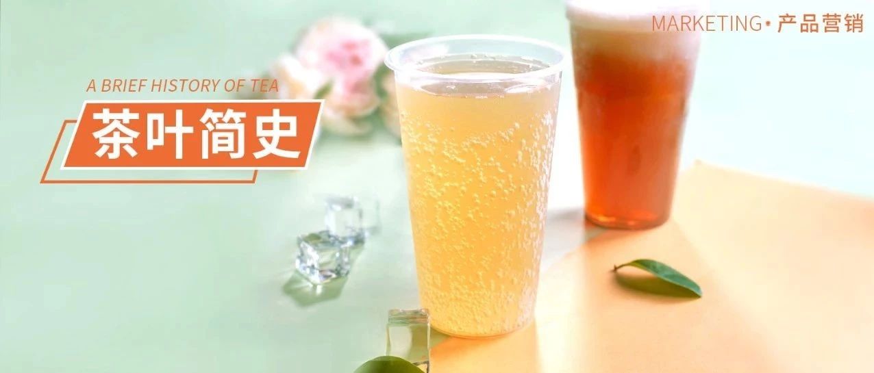 經(jīng)典回歸！可以喝的泡沫熱飲，成本只要塊左右