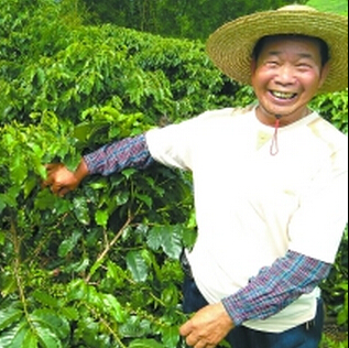 【行業(yè)資訊】廣東自產(chǎn)咖啡？來嘗嘗味道