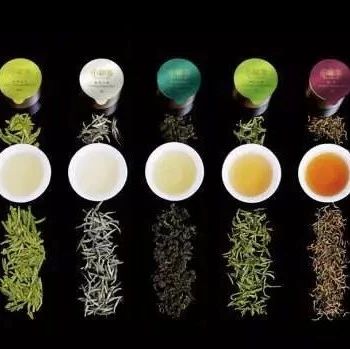 一年億，小罐茶讓賣茶的開了眼