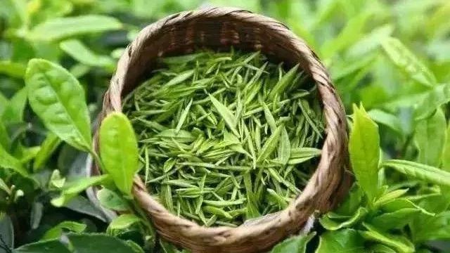“茶不好喝，我嫁給你！”沖毀三觀的淘寶體茶葉神文案！