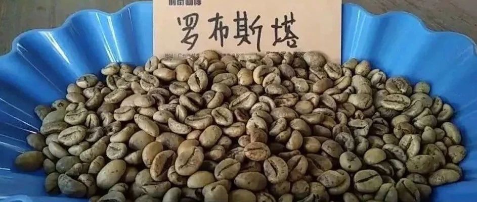 咖啡知識 | 帶你深入了解羅布斯塔