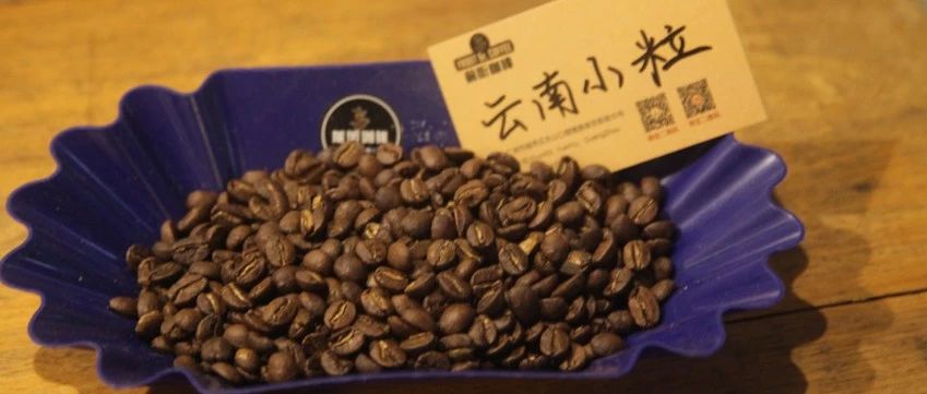 【前街咖啡尋豆記】云南小粒咖啡的專題報告！