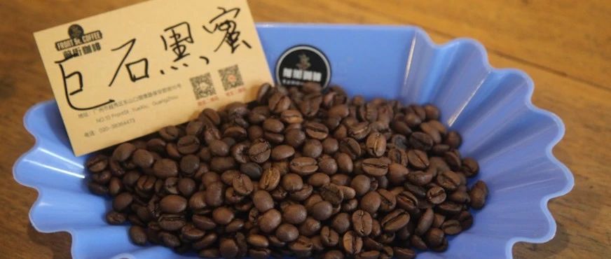 【前街尋豆記】哥斯達(dá)黎加 巨石咖啡專題報(bào)告