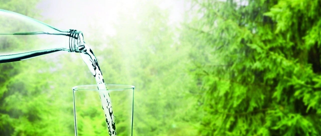 用哪種水沖煮咖啡最好？| 科普好文