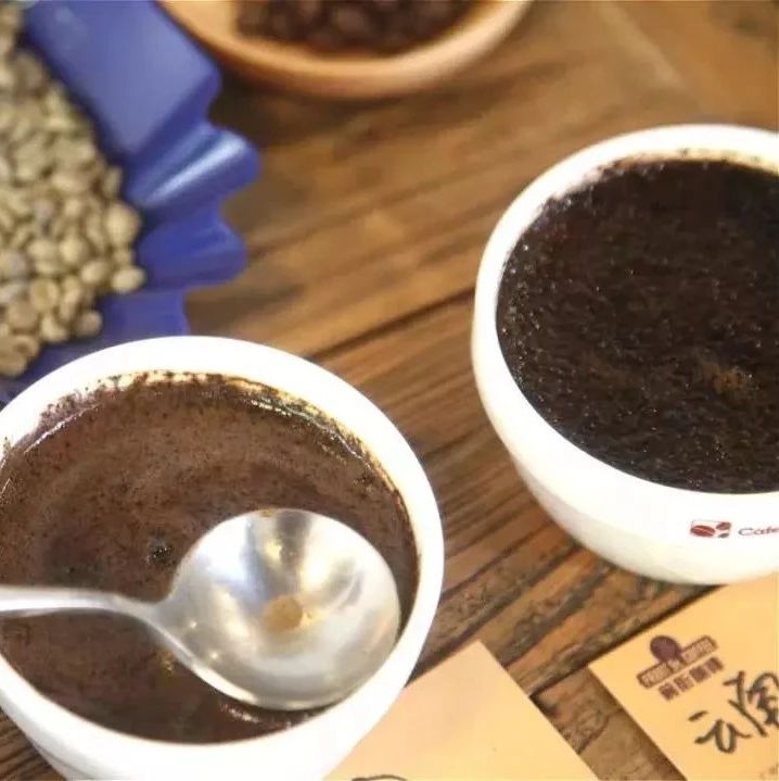 云南保山小粒指的是卡蒂姆還是鐵皮卡呢？它倆有啥區(qū)別？