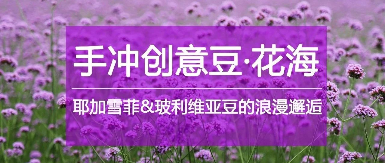 手沖創(chuàng)意豆·花海 | 喝咖啡當然要“好星情”