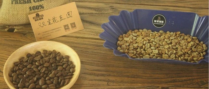 【前街尋豆手記】COE競標批次# ——洪都拉斯雙生花莊園專題報告