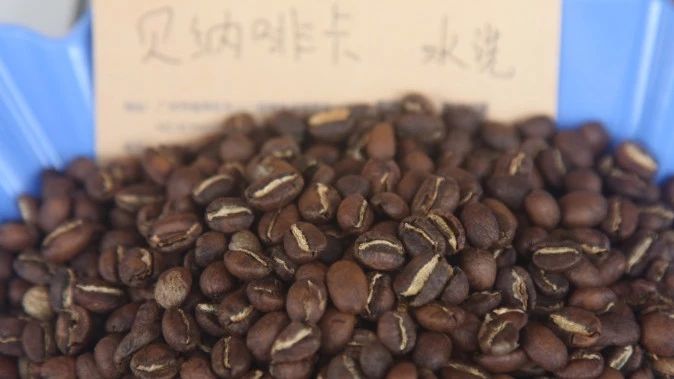 【耶加雪菲貝納啡卡】 | 咖啡工房研習(xí)課室