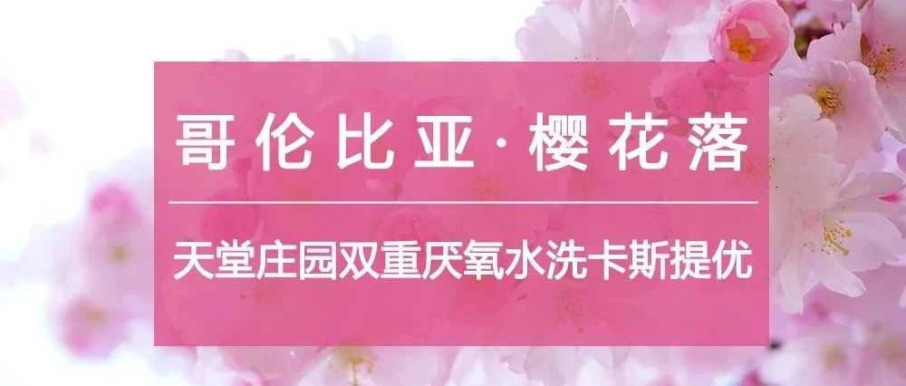 天堂莊園"櫻花落"來了，第份半價(jià)速度入手！