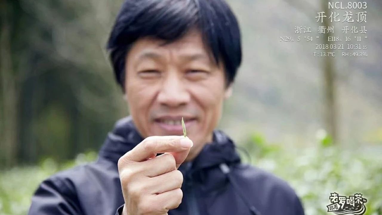 茶界勞模羅軍：我要一年給你 款茶！| 跟著老羅喝茶