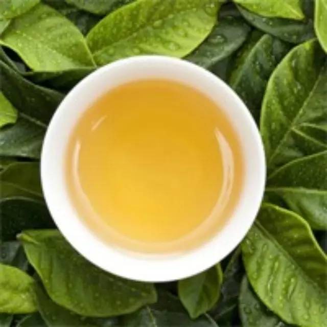 紅茶的搭配全攻略