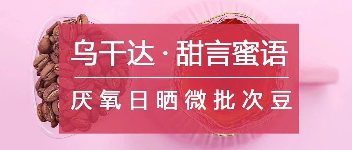 . 折入手烏干達甜蜜好豆（月底特惠，僅在今天）