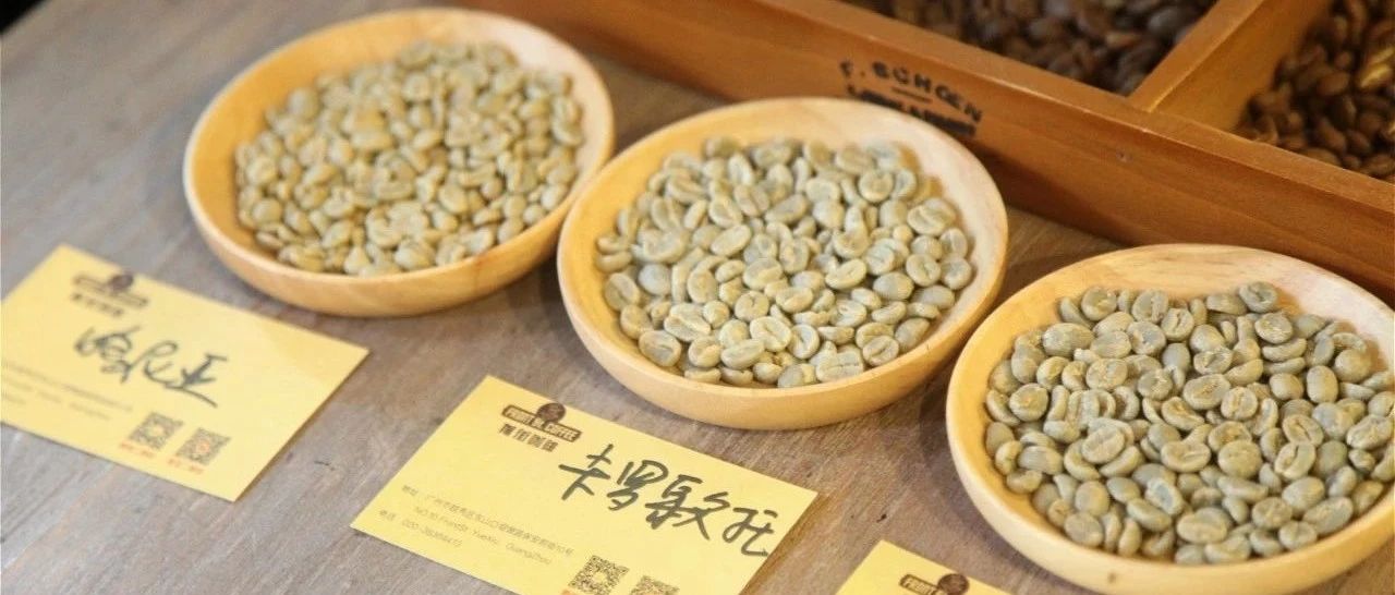 肯尼亞 |卡羅歌托 VS 阿薩莉亞 VS 哈尼亞，哪個好喝？