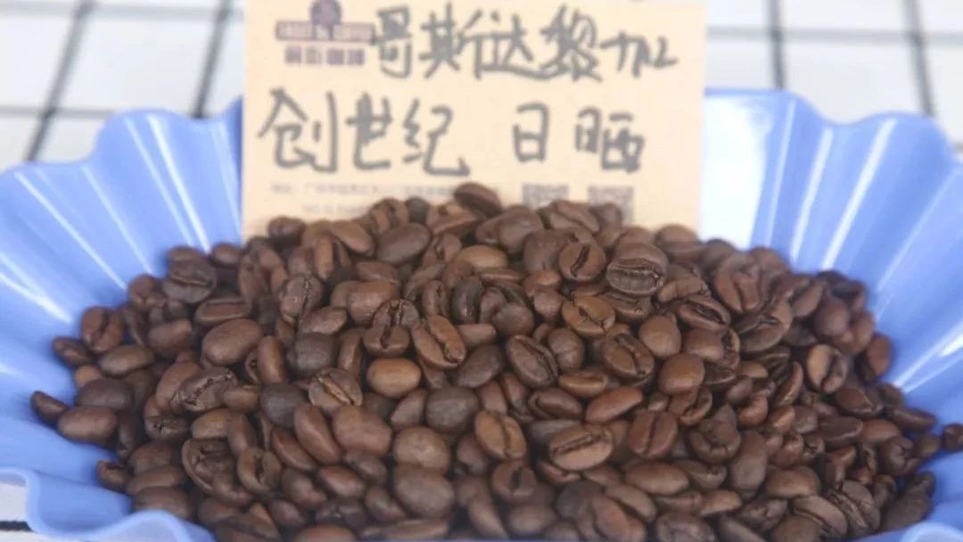【哥斯達(dá)黎加創(chuàng)世紀(jì)微批次】專題報(bào)告 | 前街咖啡研習(xí)課室