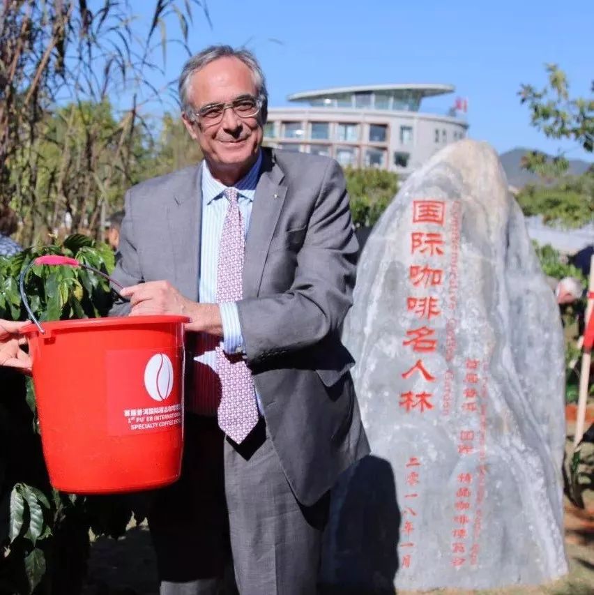 國(guó)際咖啡名人在普洱種下咖啡樹與希望