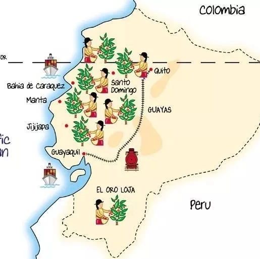 哥倫比亞 | 考卡卓越杯 VS 唐納德，不同烘焙方式的區(qū)別？
