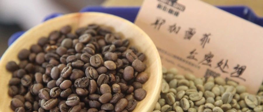 【前街尋豆手記】耶加雪菲紅蜜處理紅櫻桃咖啡專題報告