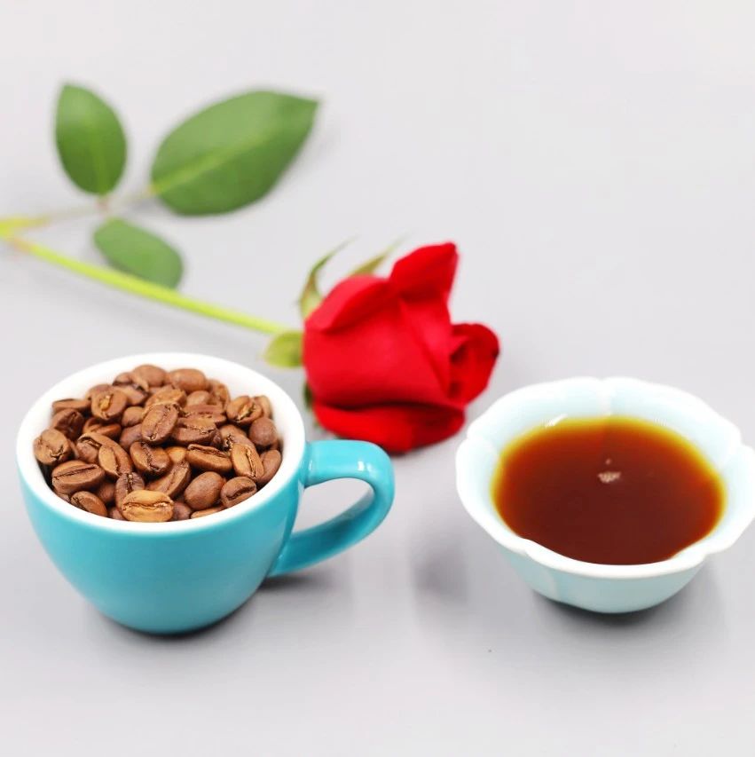 周末有好豆 | 這杯 分的綠頂瑰夏，你喝過嗎？