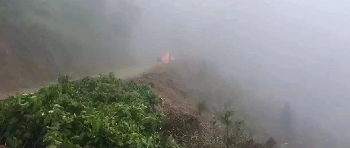 【前街咖啡師手記】以 +種打開方式玩轉(zhuǎn)云南·小粒咖啡！