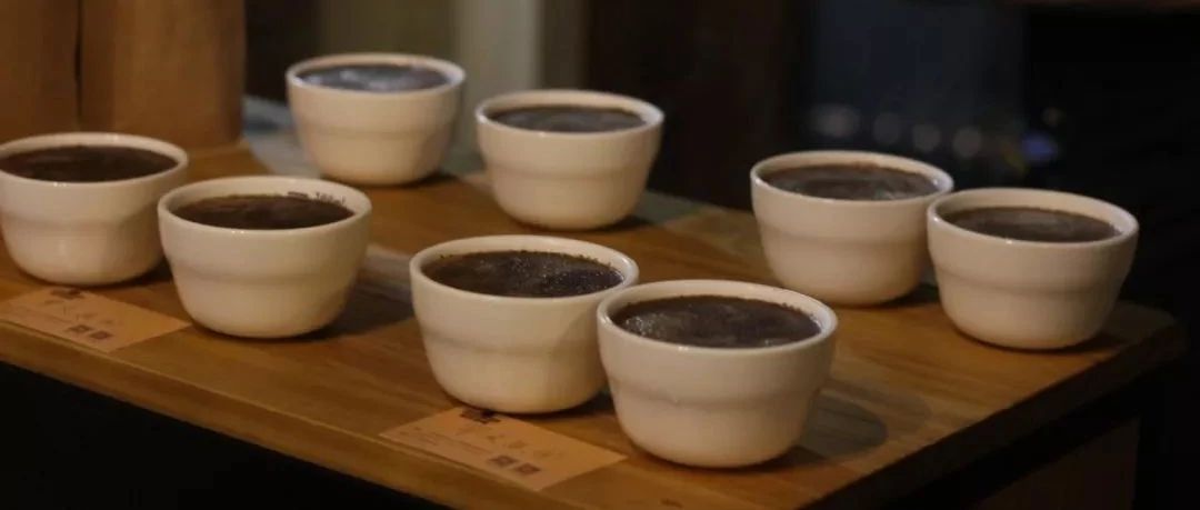 【前街尋豆手記】酸甜感明顯的水果茶——罕貝拉布庫~