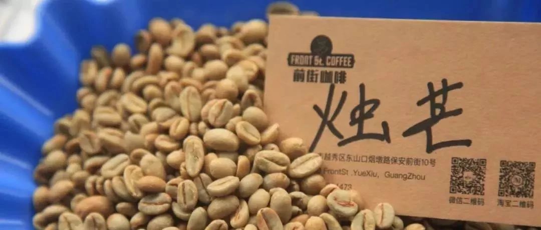 沖煮【西達(dá)摩 燭芒】| 種“聰明”打開(kāi)方式？