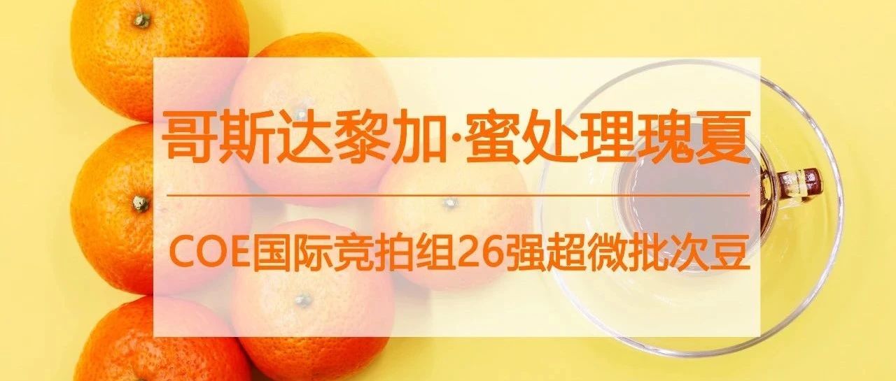 蜜處理瑰夏，有多甜？（小心別點(diǎn)開…）