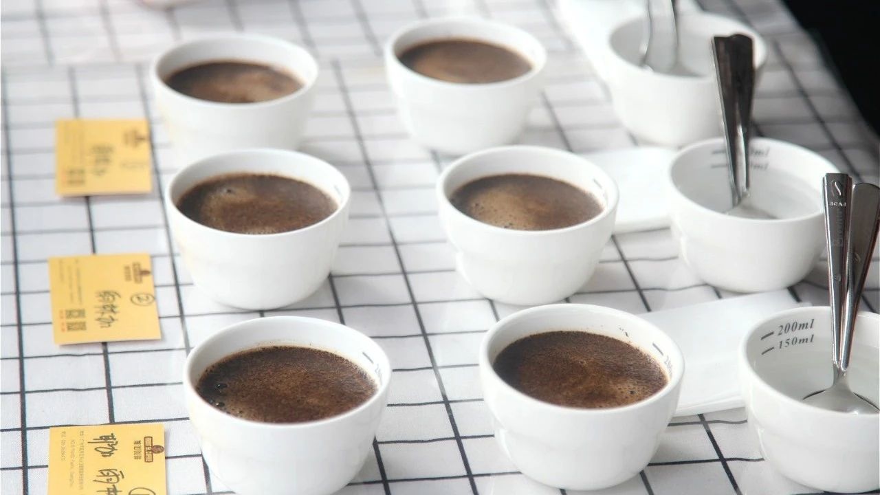Cupping，教你正常的杯測(cè)流程和步驟？