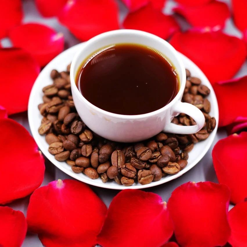 您喜歡的手沖創(chuàng)意豆“紅”歸來，#限量組合特惠#來帶走！
